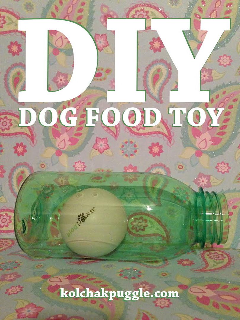  photo DIY-Dog-Food-Toy_zpsryp6abcu.jpg