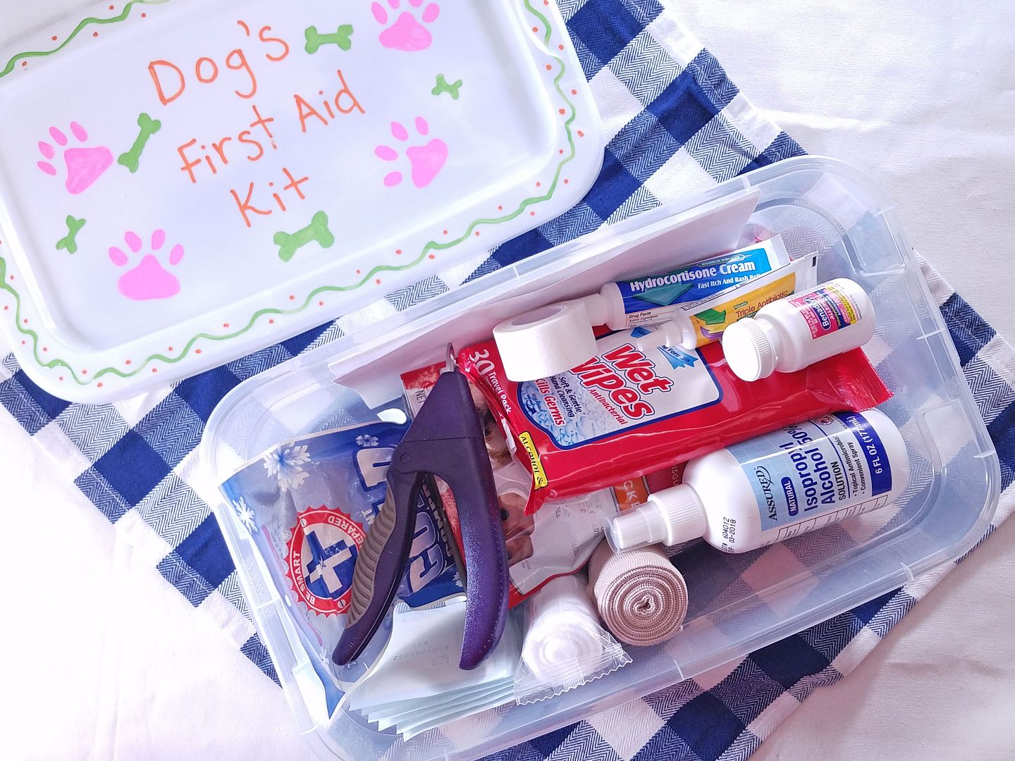 Want to make a DIY first aid kit for your dog? It's easier than you think! Check out our tutorial!