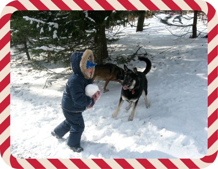 Fun Ways to Include Your Dog in Your Holiday Celebrations with Help from #BLUESantaSnacks