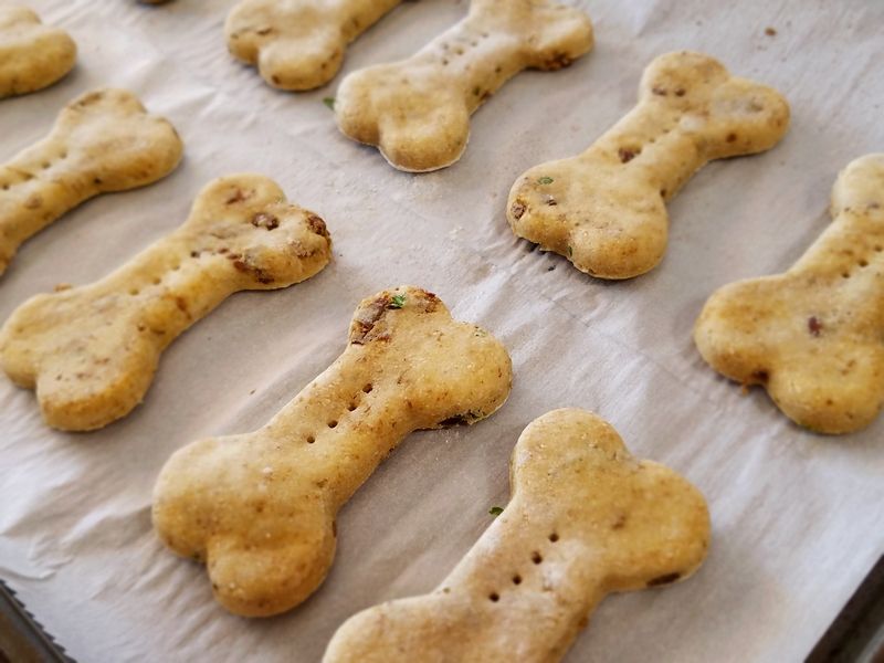 Homemade dog treats make great Christmas gifts for dogs! Check out our Chicken & Liver cookies! Perfect for a Thanksgiving treat for Fido too!