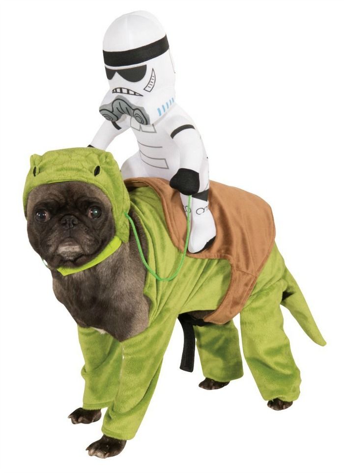 What You Need To Know About Dressing Your Pup In A Stormtrooper Dog Costume: Storm Trooper Riding Dewback Idea