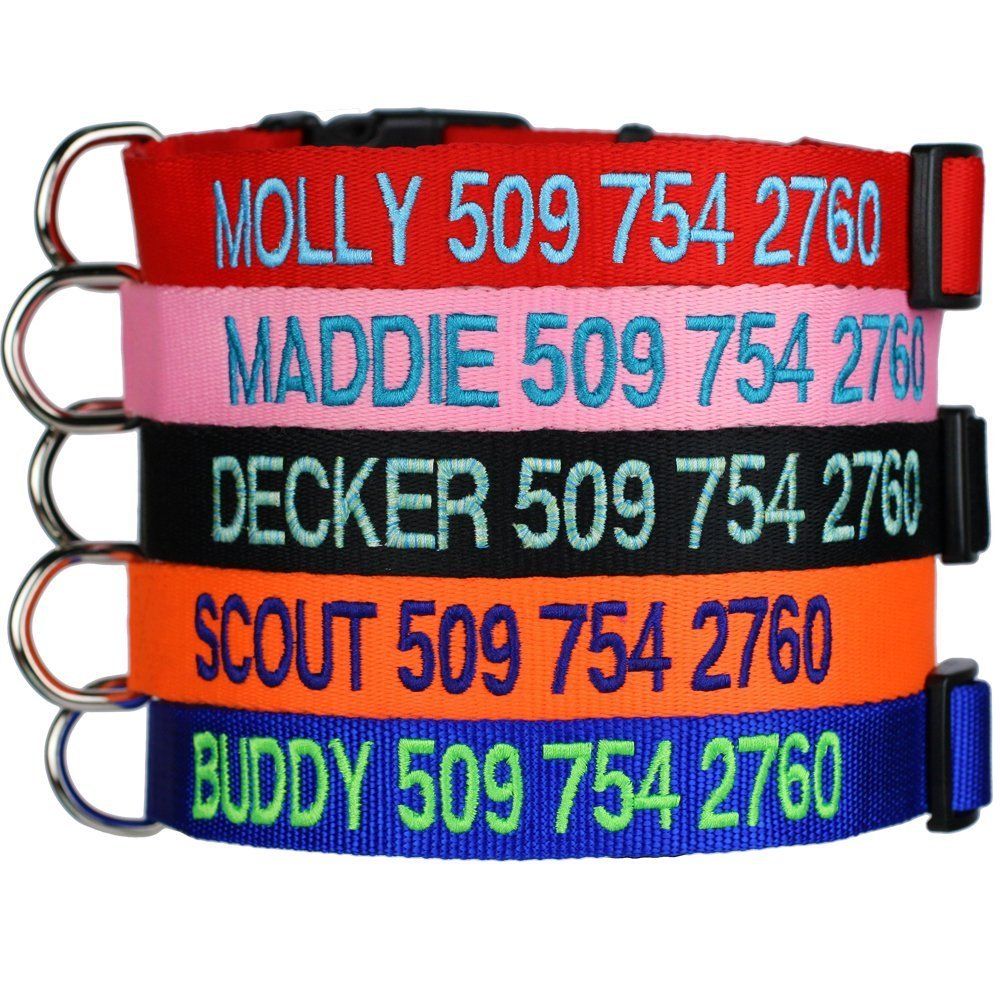 Large breed collars for your dog