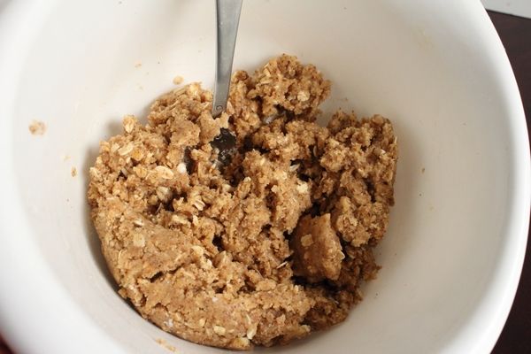 Almond Oatmeal Hypoallergenic Dog Treats in Progress