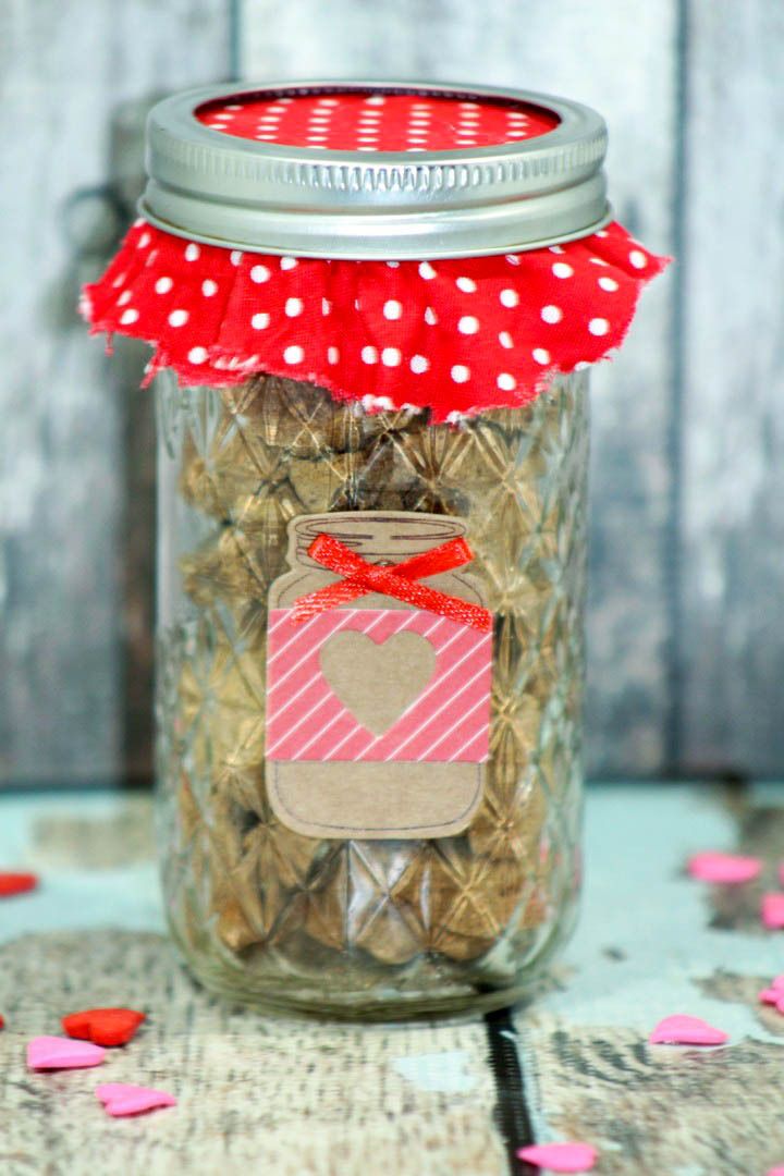 Looking for homemade dog treats recipes that are perfect for giving as gifts to fellow pet parents? Check out our mason jar dog snacks! 