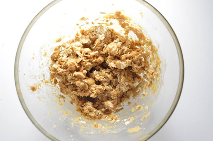 Honey Oat Peanut Butter Hypoallergenic Dog Treat Recipe