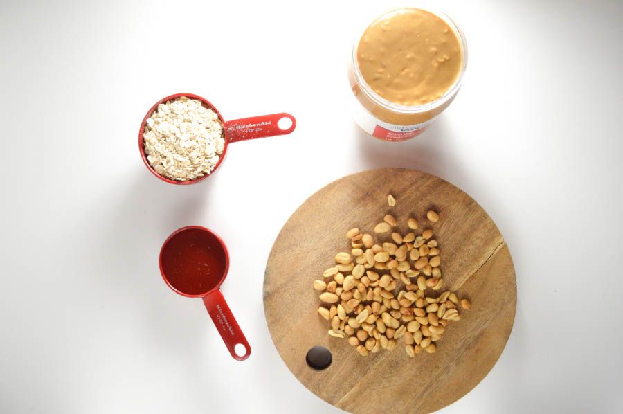 Honey Oat Peanut Butter Hypoallergenic Dog Treat Recipe