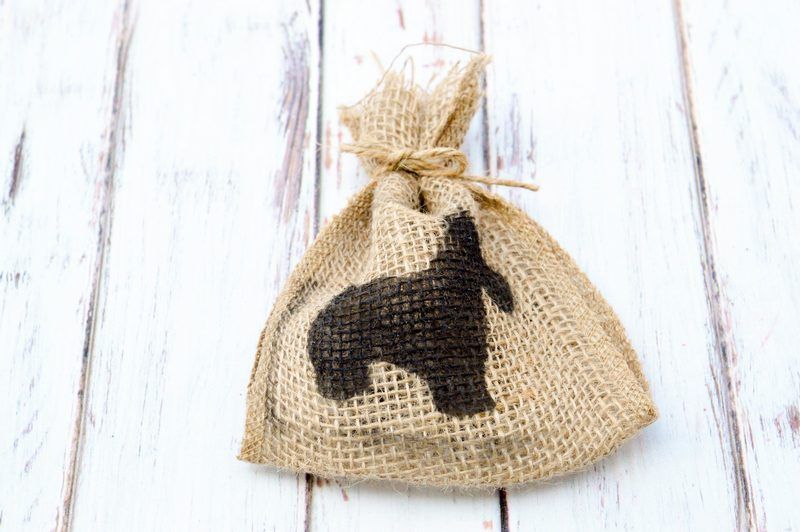 This homemade dog treats bag is such a clever gift idea for all the pet lovers in your life! Super easy to make too! Check it out!