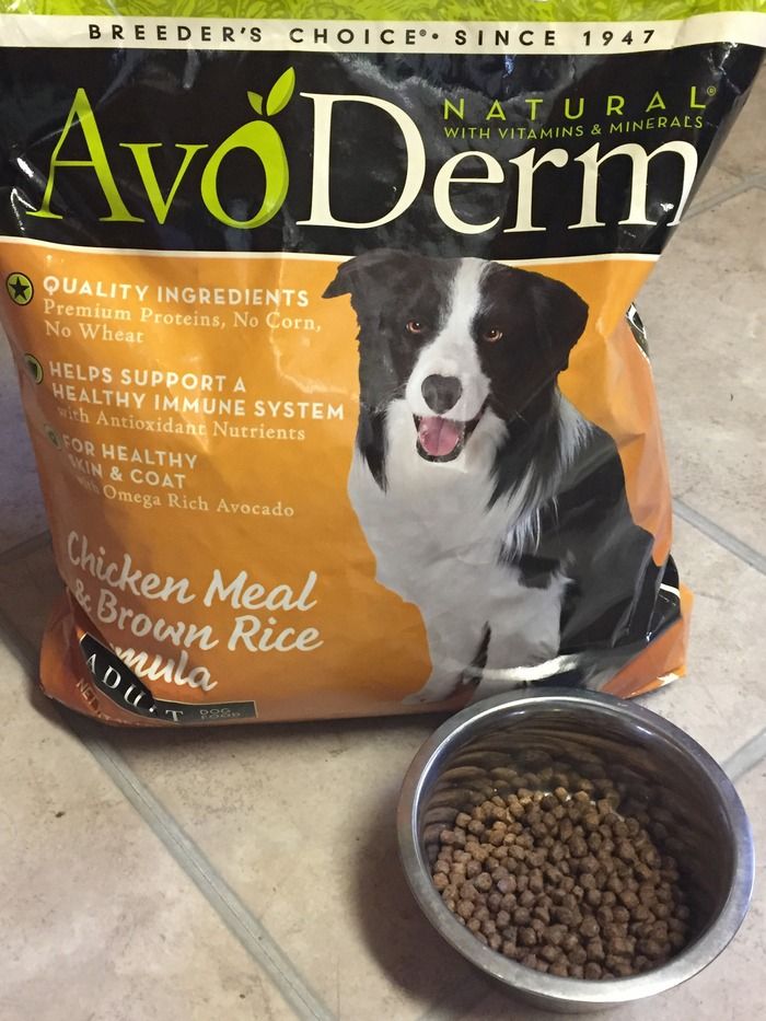 Looking for an amazing high-quality dog food for your pup? I’m excited to tell you about AvoDerm! Find out why it's such a huge hit with both my pit bull mix and my high-energy Pharaoh Hound!