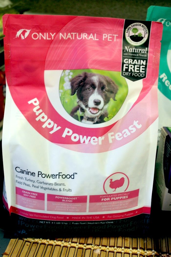 What should you look for when shopping for a healthy dog food? Check out our tips! Plus, have you heard the good news? Only Natural Pet is available at PetSmart!