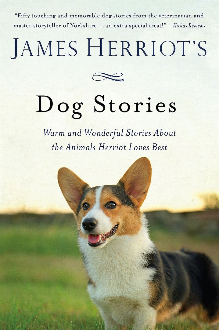 Looking for a truly inspiring tale to snuggle up with? Check out four of our favorite books to read with stories of extraordinary dogs!