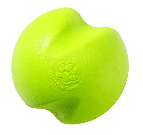 Best Dog Toys for Cleaning Teeth