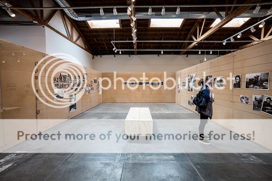 IMAGE: https://i1109.photobucket.com/albums/h433/shutter_dreams/m-p/L1004647-6_zpsu6hfydxb.jpg