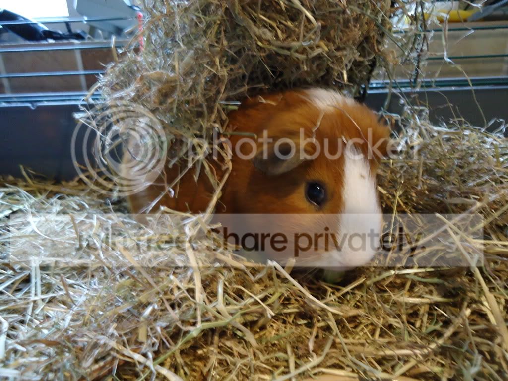 DSC00076.jpg