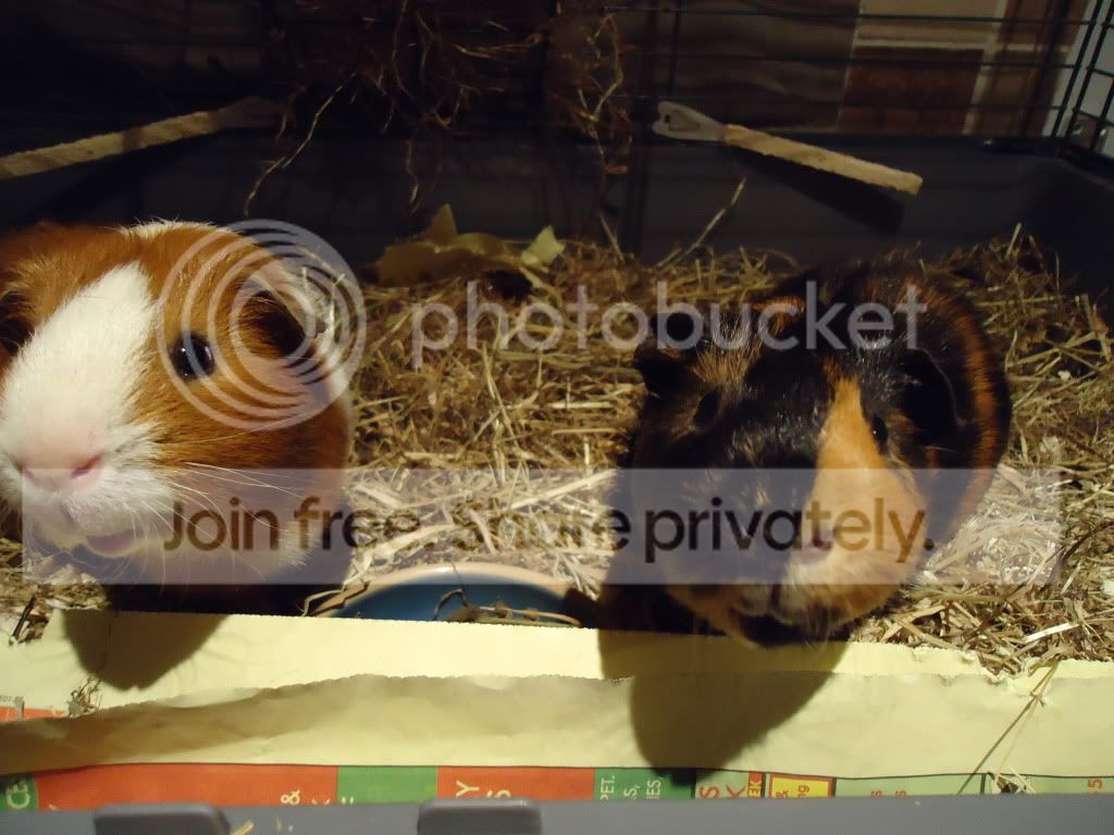 DSC00125.jpg