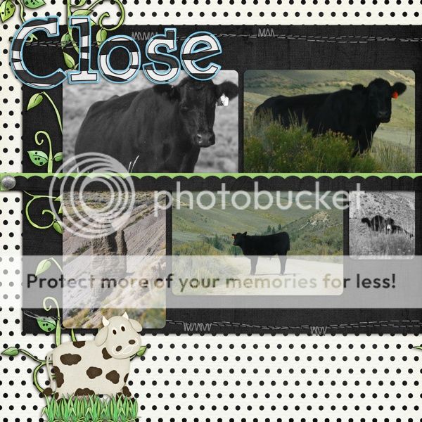 https://i1109.photobucket.com/albums/h438/thompsonc2007/Cow-1.jpg